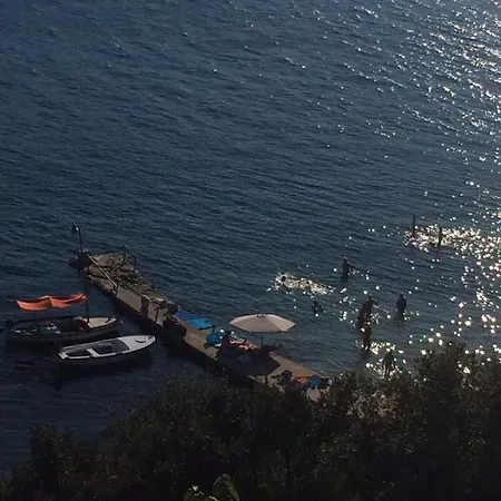 Dragica *